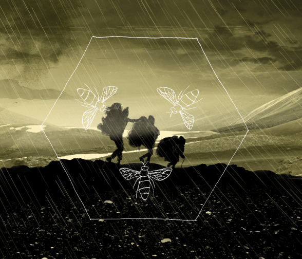 Skærmbillede 2017-11-08 kl. 15.19.55